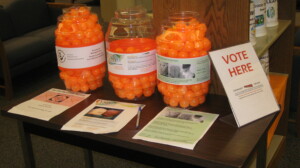 voting jars for 2016 Summer Challenge