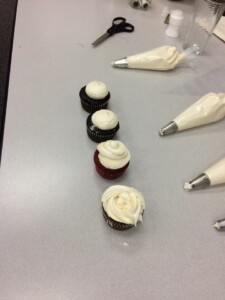 cupcakes frosted with different decorating tips